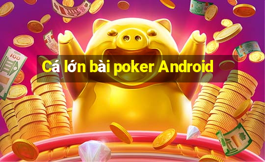 Cá lớn bài poker Android