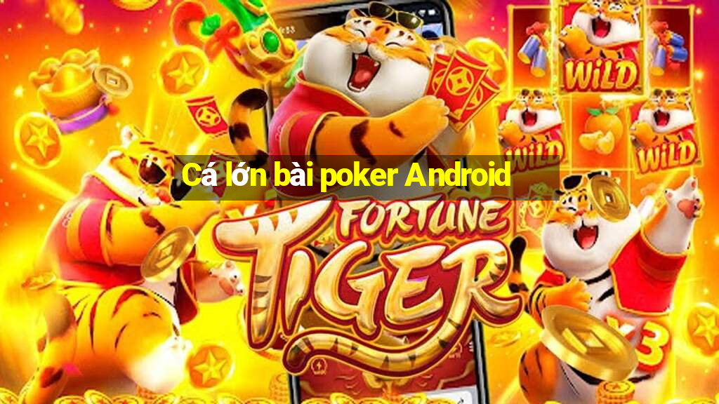 Cá lớn bài poker Android