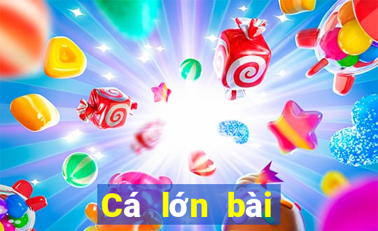 Cá lớn bài poker Android