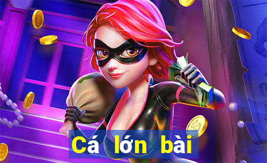 Cá lớn bài poker Android