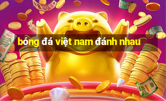 bóng đá việt nam đánh nhau