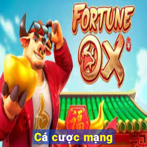 Cá cược mạng