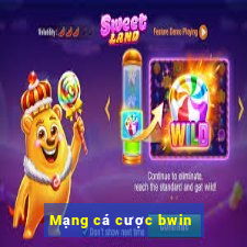 Mạng cá cược bwin