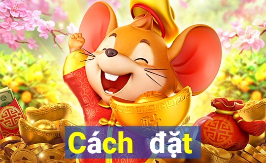 Cách đặt cược XSKH ngày 11