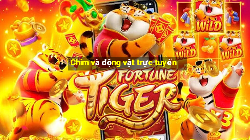 Chim và động vật trực tuyến