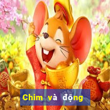 Chim và động vật trực tuyến