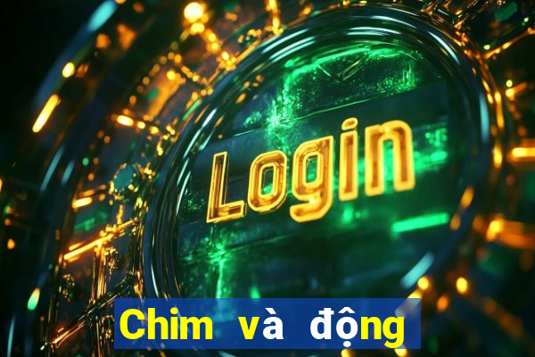 Chim và động vật trực tuyến