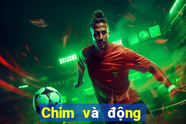 Chim và động vật trực tuyến