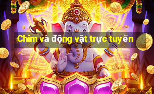 Chim và động vật trực tuyến