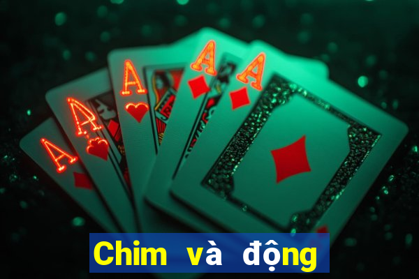 Chim và động vật trực tuyến