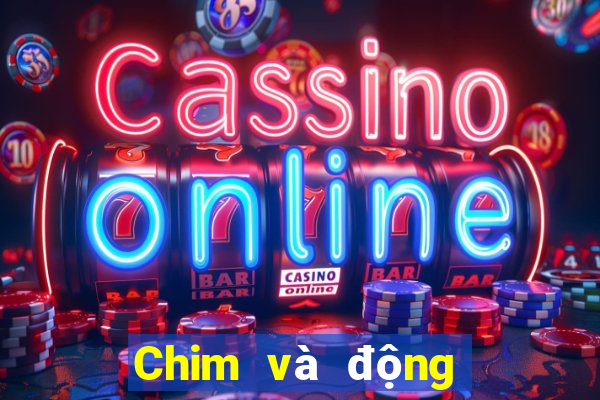 Chim và động vật trực tuyến