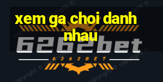 xem ga choi danh nhau