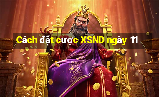 Cách đặt cược XSND ngày 11