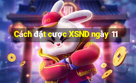 Cách đặt cược XSND ngày 11