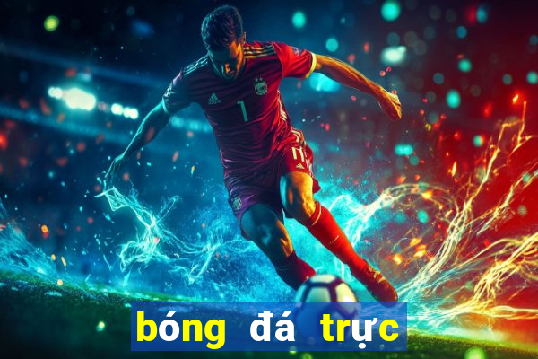 bóng đá trực tiếp nhà cái