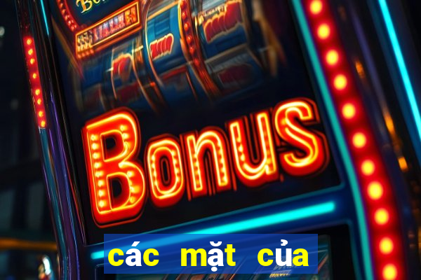 các mặt của bầu cua