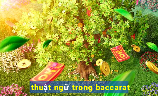 thuật ngữ trong baccarat