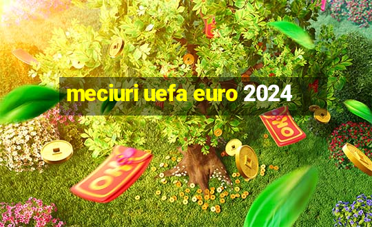 meciuri uefa euro 2024