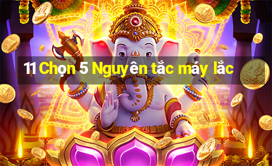 11 Chọn 5 Nguyên tắc máy lắc