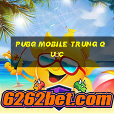 pubg mobile trung quốc