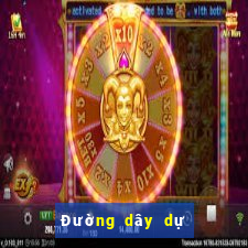 Đường dây dự phòng bet8