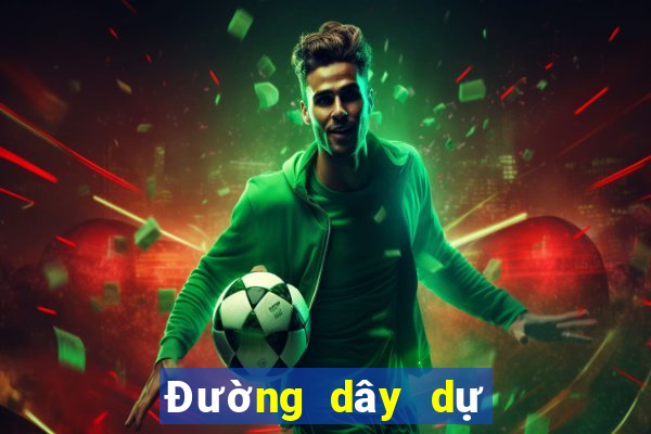 Đường dây dự phòng bet8