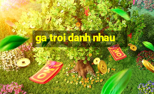 ga troi danh nhau