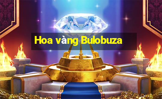 Hoa vàng Bulobuza