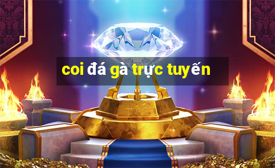 coi đá gà trực tuyến