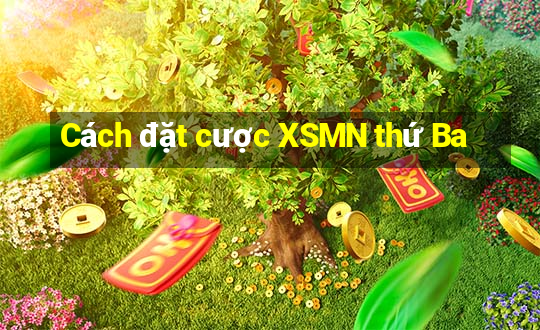 Cách đặt cược XSMN thứ Ba