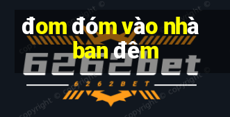 đom đóm vào nhà ban đêm