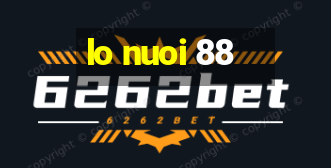 lo nuoi 88