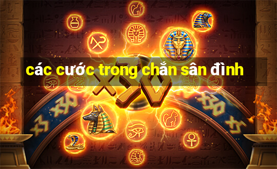 các cước trong chắn sân đình