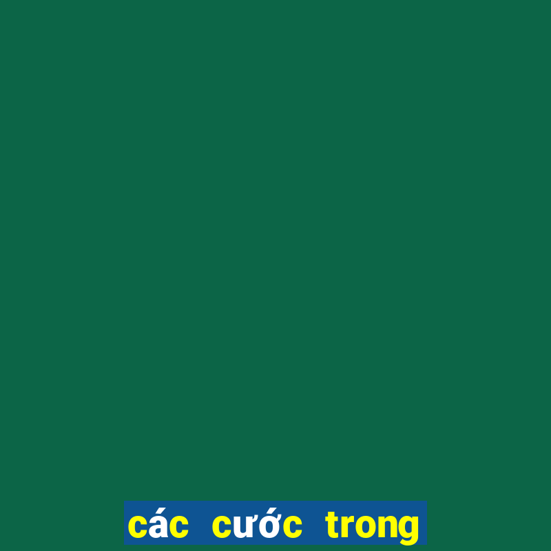 các cước trong chắn sân đình