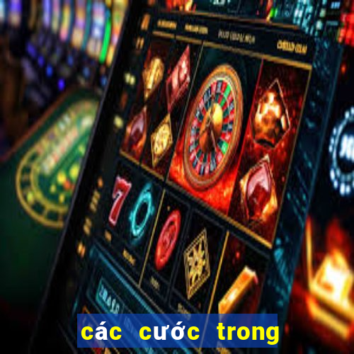 các cước trong chắn sân đình