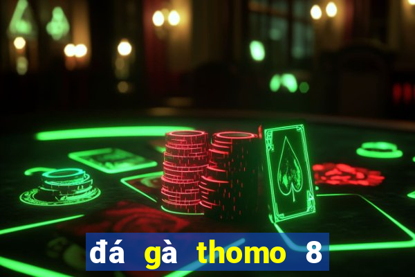 đá gà thomo 8 4 2024