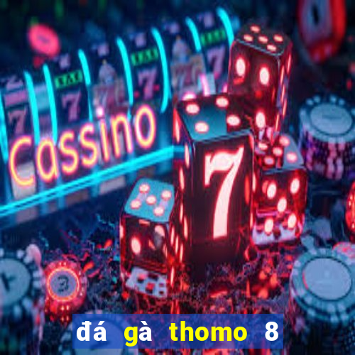 đá gà thomo 8 4 2024