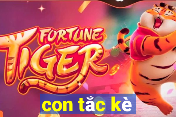 con tắc kè