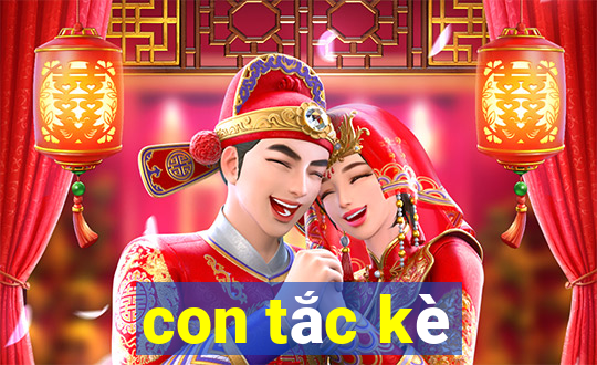 con tắc kè