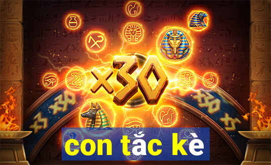 con tắc kè