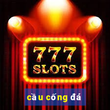 cầu cống đá