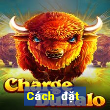 Cách đặt cược XSQT ngày thứ năm