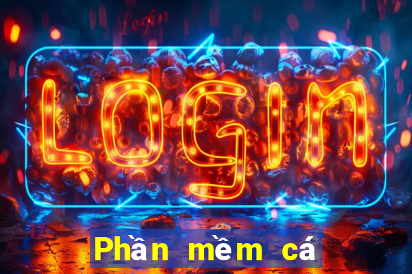 Phần mềm cá cược bóng rổ