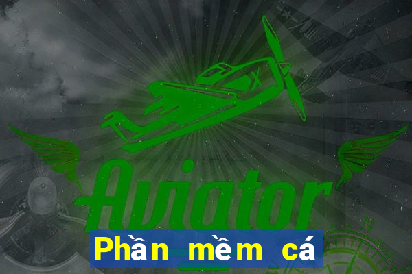 Phần mềm cá cược bóng rổ