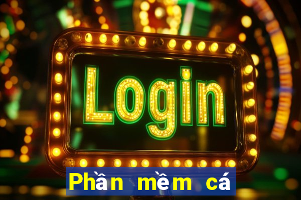 Phần mềm cá cược bóng rổ