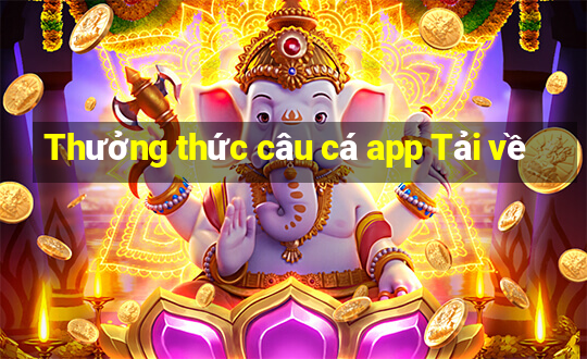 Thưởng thức câu cá app Tải về