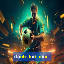 đánh bài câu cá 2 người