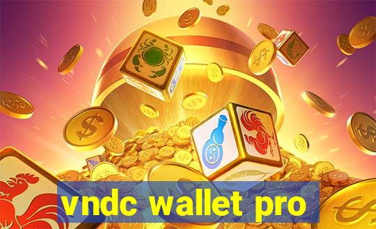 vndc wallet pro