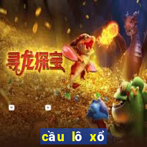 cầu lô xổ số miền bắc hôm nay đề online