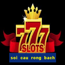 soi cau rong bach kim vip